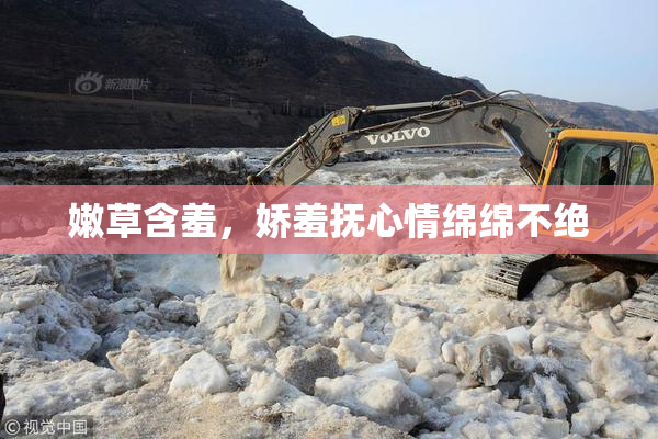 嫩草含羞，娇羞抚心情绵绵不绝