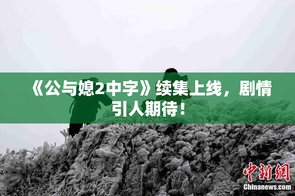 《公与媳2中字》续集上线，剧情引人期待！