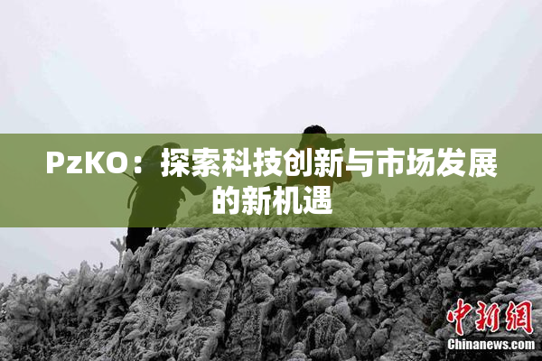 PzKO：探索科技创新与市场发展的新机遇