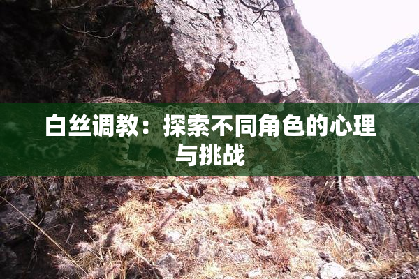 白丝调教：探索不同角色的心理与挑战