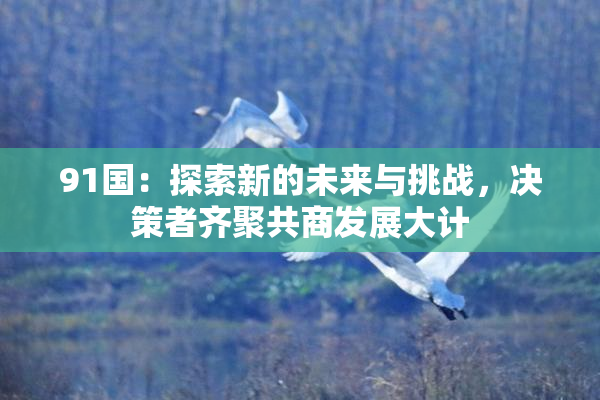 91国：探索新的未来与挑战，决策者齐聚共商发展大计