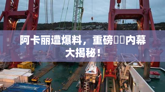 阿卡丽遭爆料，重磅❌‌内幕大揭秘！
