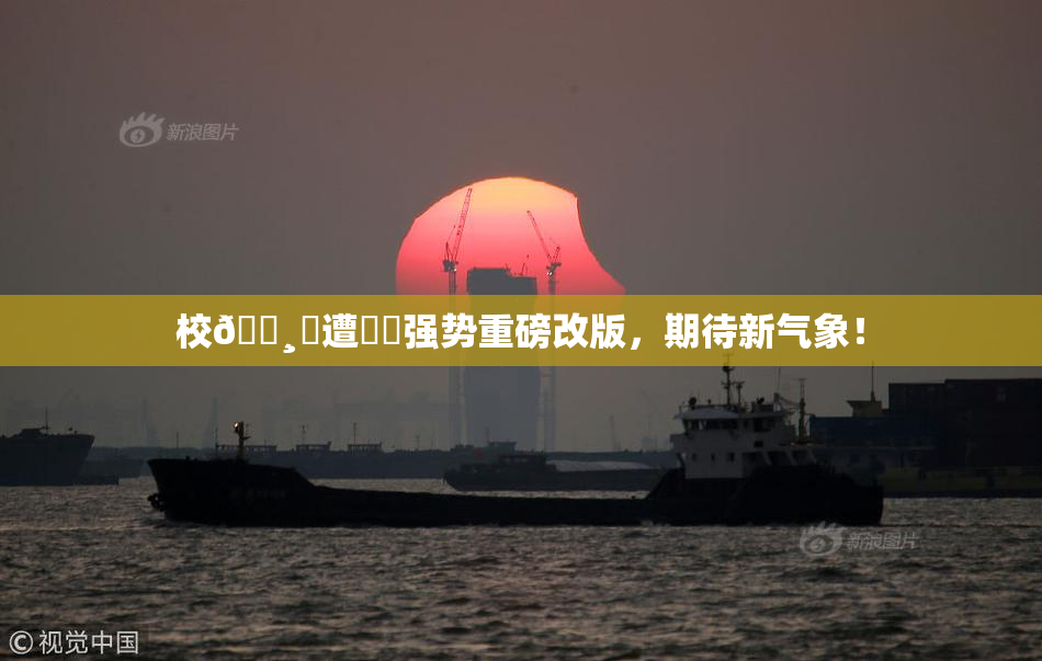 校🌸‌遭❌‌强势重磅改版，期待新气象！