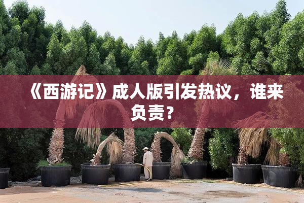 《西游记》成人版引发热议，谁来负责？