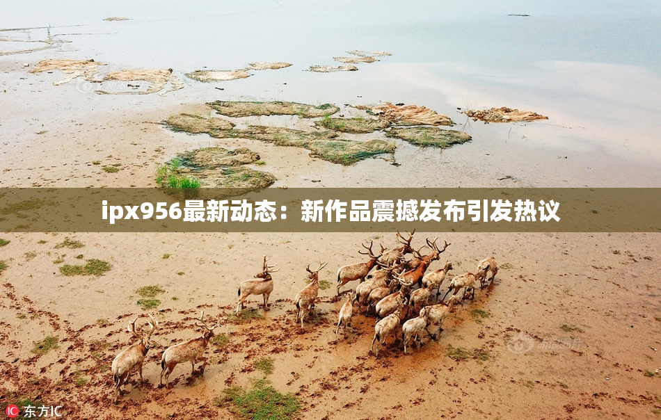 ipx956最新动态：新作品震撼发布引发热议