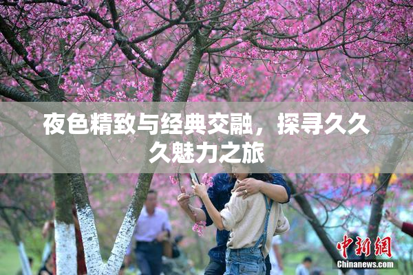 夜色精致与经典交融，探寻久久久魅力之旅
