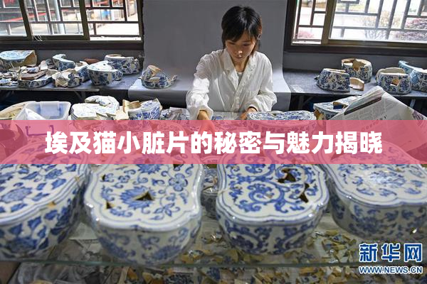 埃及猫小脏片的秘密与魅力揭晓