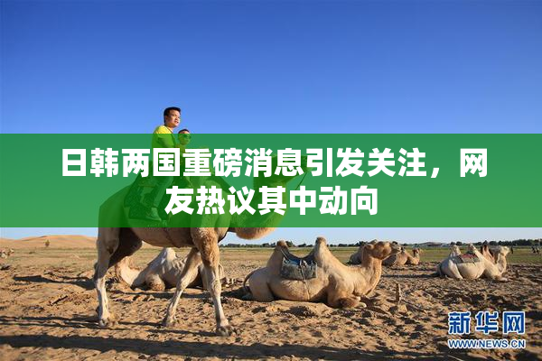 日韩两国重磅消息引发关注，网友热议其中动向