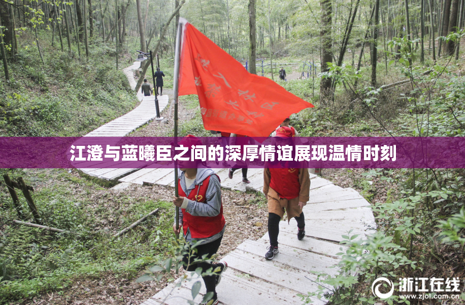 江澄与蓝曦臣之间的深厚情谊展现温情时刻