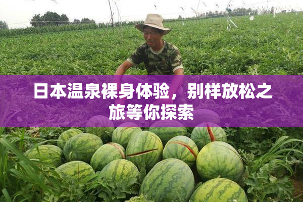 日本温泉裸身体验，别样放松之旅等你探索