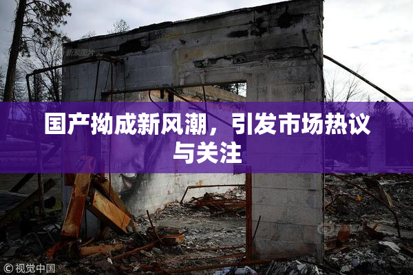 国产拗成新风潮，引发市场热议与关注