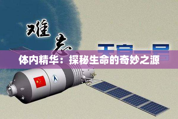 体内精华：探秘生命的奇妙之源
