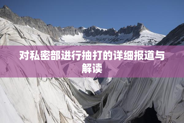 对私密部进行抽打的详细报道与解读