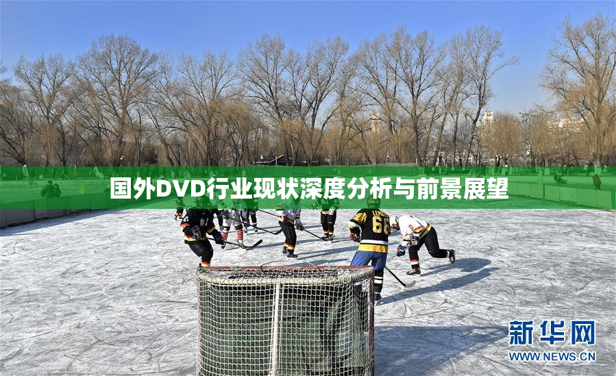 国外DVD行业现状深度分析与前景展望