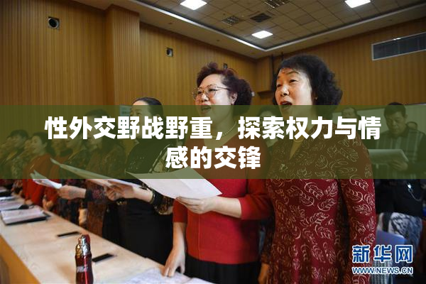 性外交野战野重，探索权力与情感的交锋