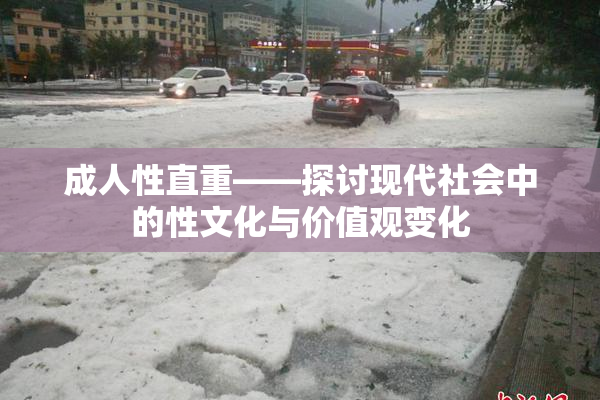 成人性直重——探讨现代社会中的性文化与价值观变化
