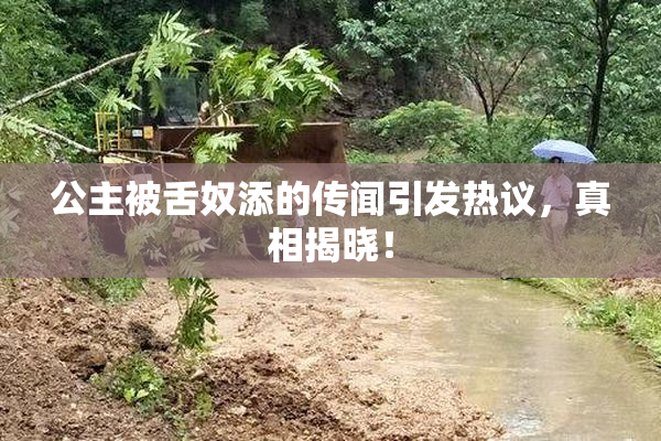 公主被舌奴添的传闻引发热议，真相揭晓！