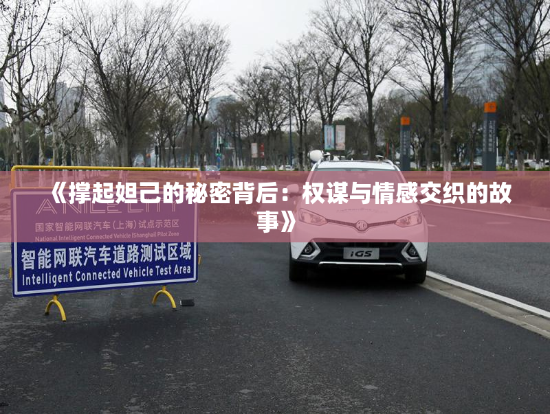 《撑起妲己的秘密背后：权谋与情感交织的故事》