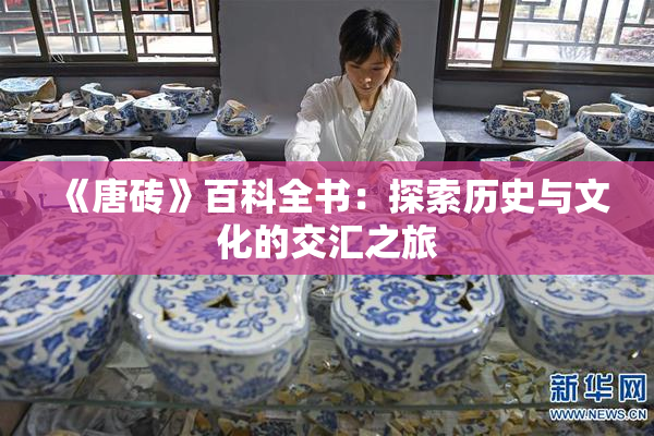 《唐砖》百科全书：探索历史与文化的交汇之旅
