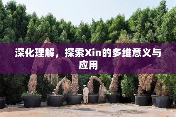 深化理解，探索Xin的多维意义与应用