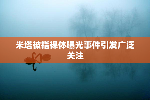 米塔被指裸体曝光事件引发广泛关注