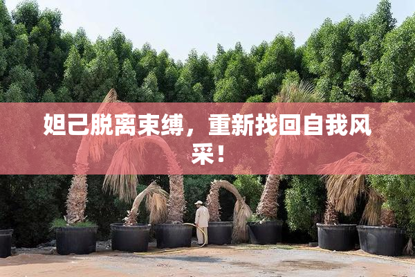 妲己脱离束缚，重新找回自我风采！