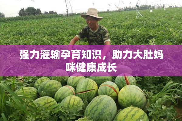 强力灌输孕育知识，助力大肚妈咪健康成长