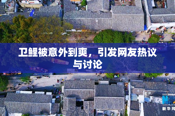 卫鲤被意外到爽，引发网友热议与讨论