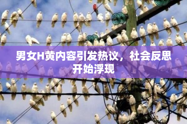 男女H黄内容引发热议，社会反思开始浮现