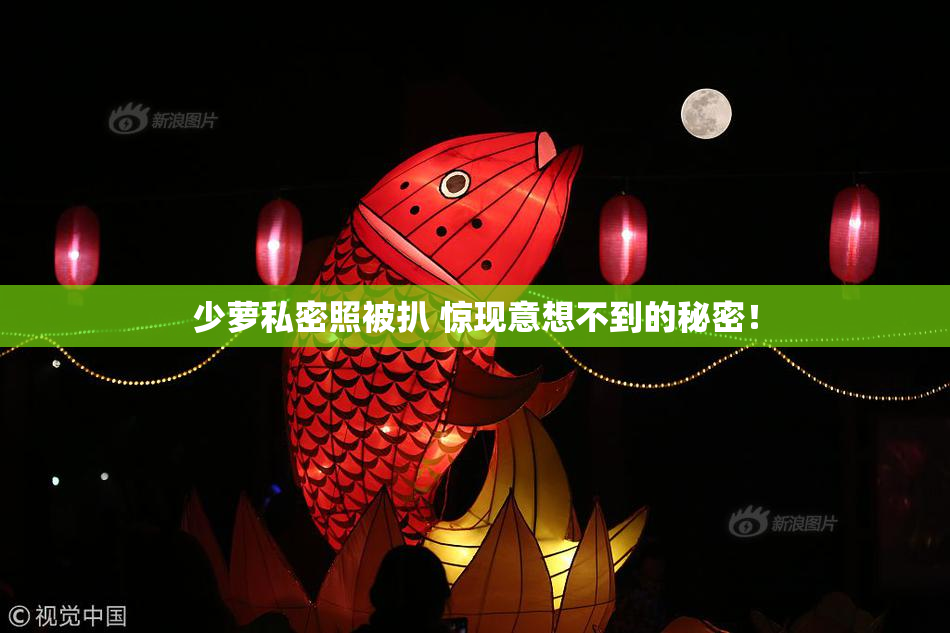 少萝私密照被扒 惊现意想不到的秘密！