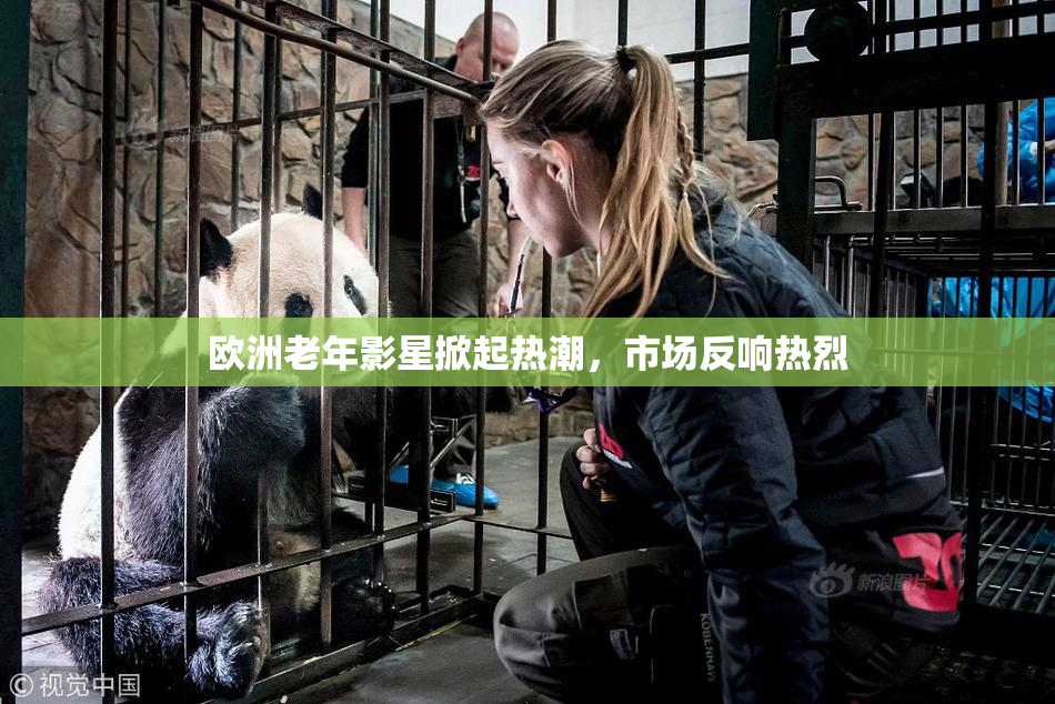 欧洲老年影星掀起热潮，市场反响热烈