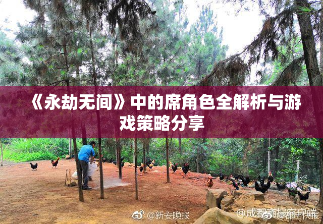 《永劫无间》中的席角色全解析与游戏策略分享