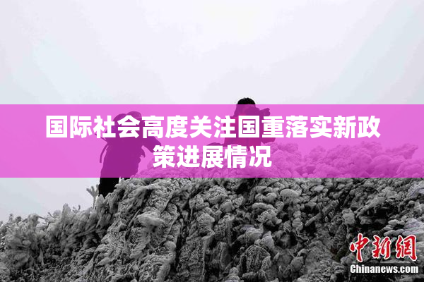 国际社会高度关注国重落实新政策进展情况