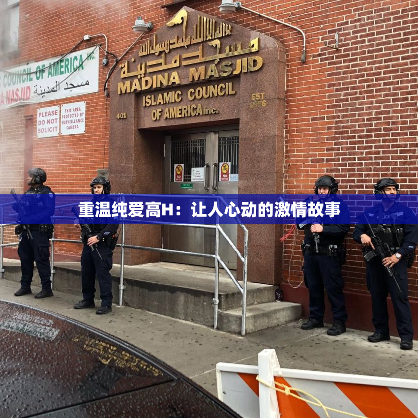 重温纯爱高H：让人心动的激情故事