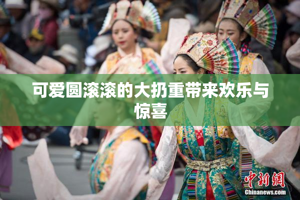 可爱圆滚滚的大扔重带来欢乐与惊喜