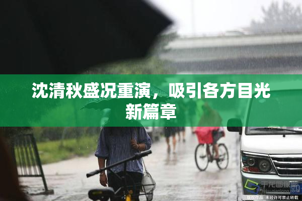 沈清秋盛况重演，吸引各方目光新篇章
