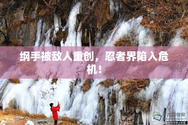 纲手被敌人重创，忍者界陷入危机！