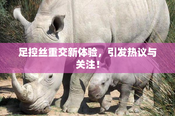 足控丝重交新体验，引发热议与关注！