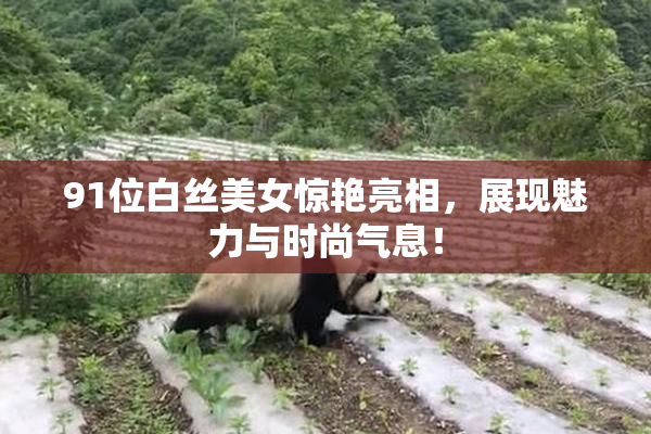 91位白丝美女惊艳亮相，展现魅力与时尚气息！