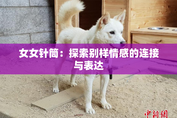 女女针筒：探索别样情感的连接与表达
