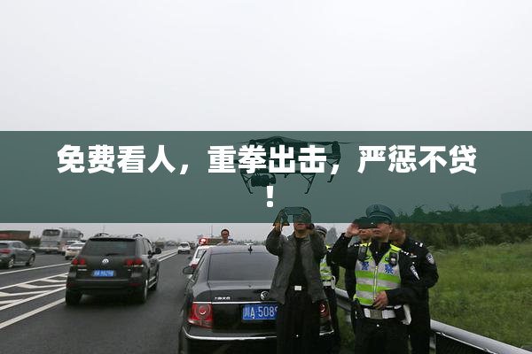免费看人，重拳出击，严惩不贷！