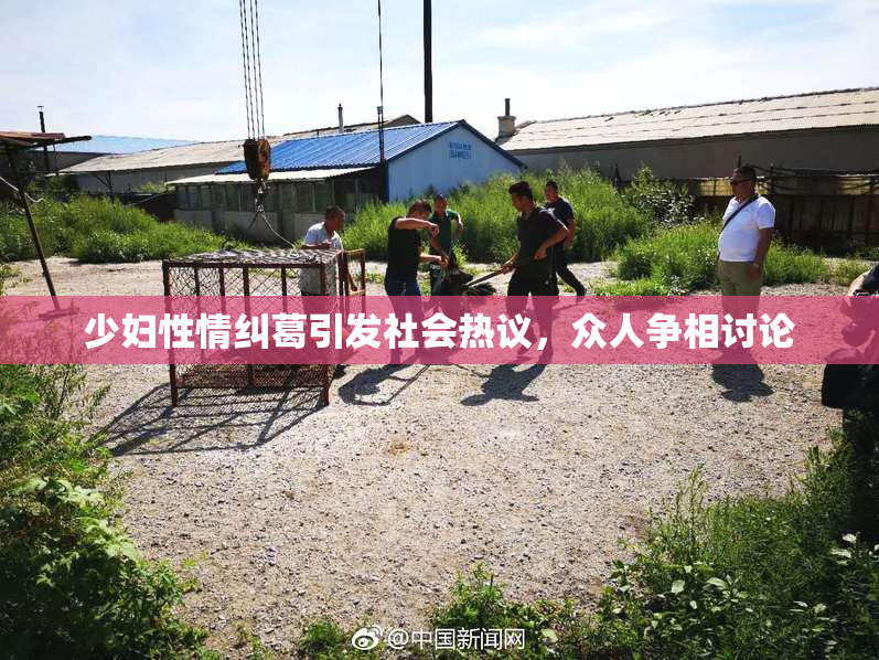 少妇性情纠葛引发社会热议，众人争相讨论