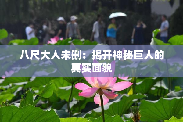 八尺大人未删：揭开神秘巨人的真实面貌