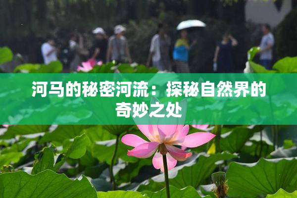 河马的秘密河流：探秘自然界的奇妙之处