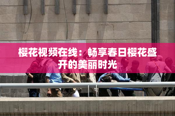樱花视频在线：畅享春日樱花盛开的美丽时光