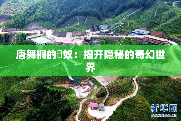 唐舞桐的婬奴：揭开隐秘的奇幻世界