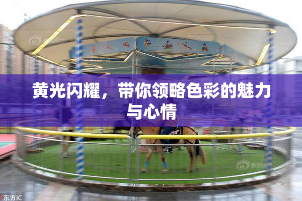 黄光闪耀，带你领略色彩的魅力与心情