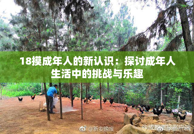 18摸成年人的新认识：探讨成年人生活中的挑战与乐趣