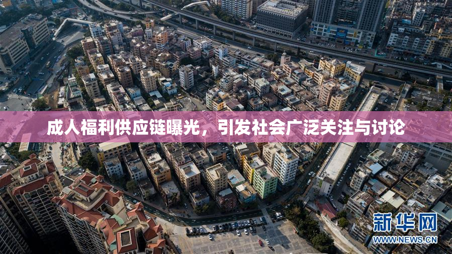 成人福利供应链曝光，引发社会广泛关注与讨论