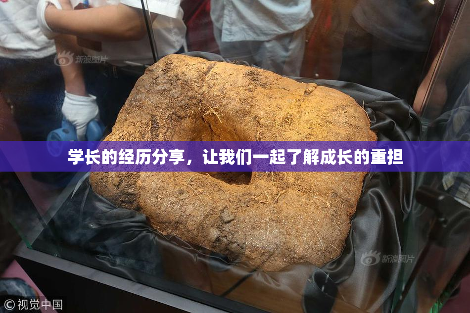 学长的经历分享，让我们一起了解成长的重担